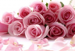 治疗外阴炎要预防的误区