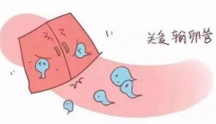 哪三个原因导致女性不孕？