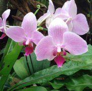 泉州宫颈糜烂手术后遗症有哪些需要注意事项有