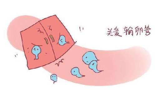 输卵管堵塞治疗难度并不大 2种治疗方案及病理剖析解决难孕问题