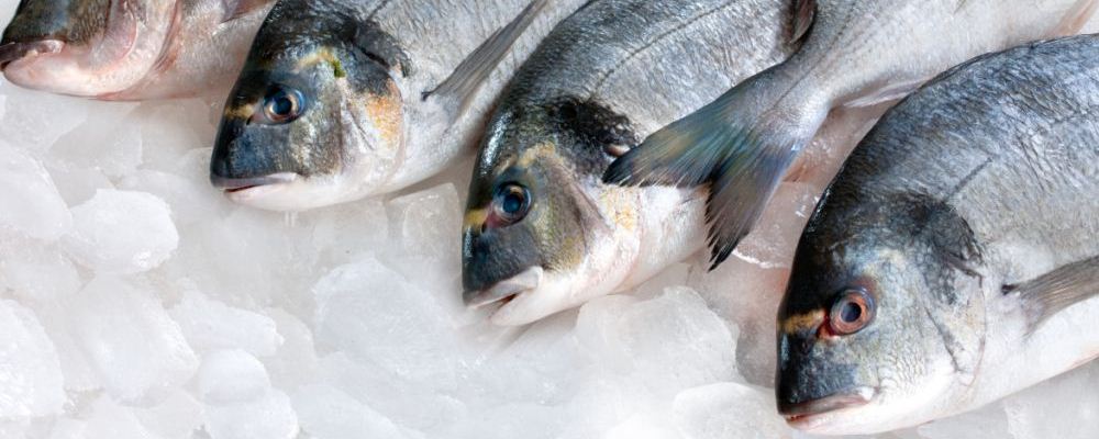 早孕先兆流产不能吃什么鱼  什么鱼发生先兆流产的孕妇不能吃 孕妇不能吃什么菜